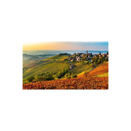 PANORAMI AUTUNNALI NELLE LANGHE con pranzo in ristorante